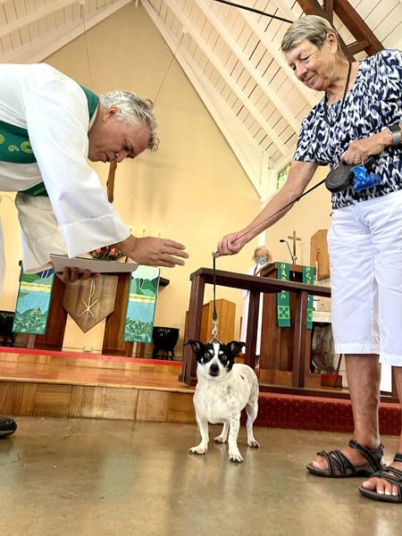 Nahoa Blessing Viki's dog